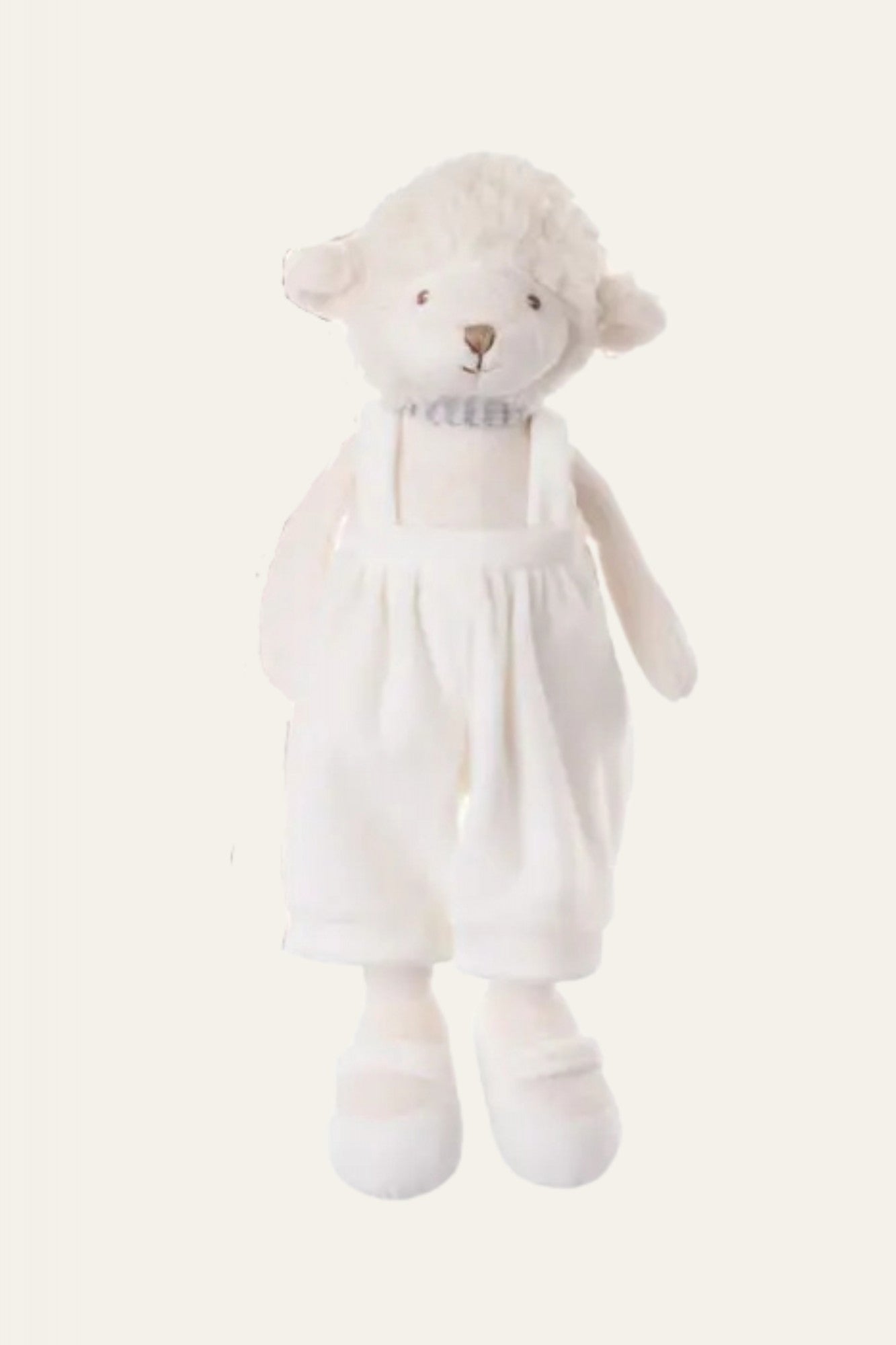 Mack plush with gift box