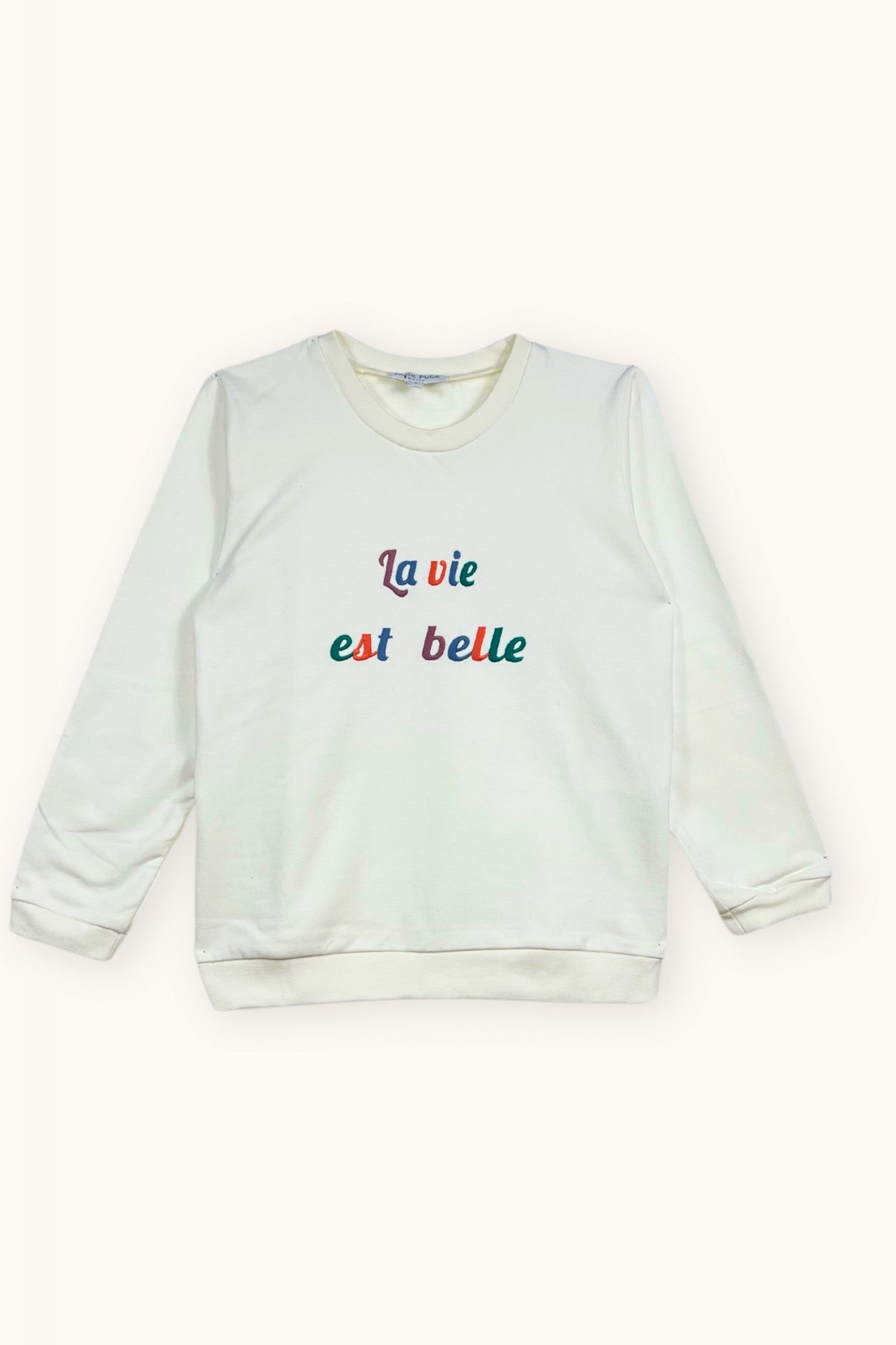 Woman embroidered sweatshirt